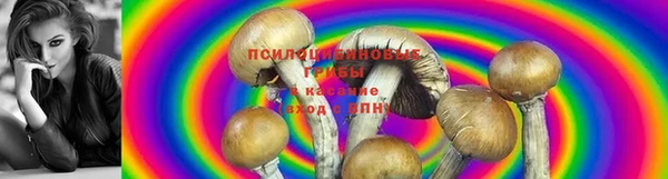 героин Алзамай