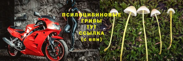гидра Карталы