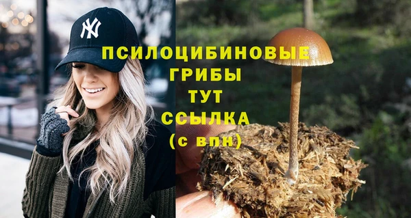 героин Алзамай