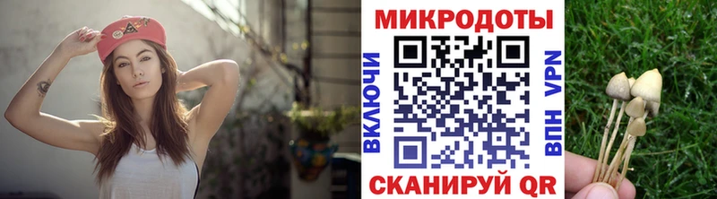 Галлюциногенные грибы Psilocybe  Трёхгорный 