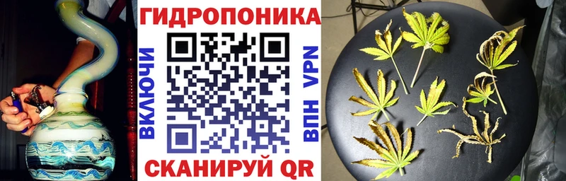 маркетплейс состав  магазин продажи наркотиков  мега tor  Трёхгорный  Конопля сатива 